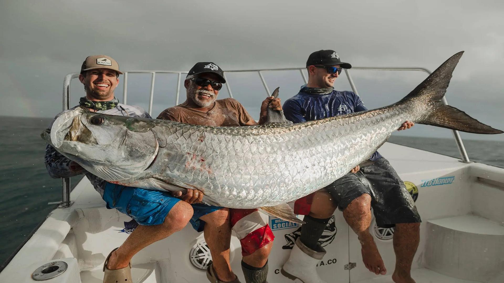Tarpon_Product_1920x1080.jpg